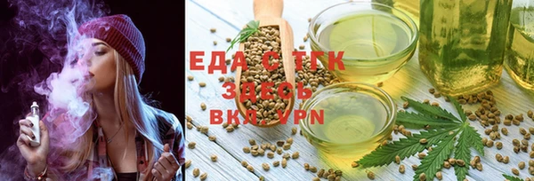 индика Кострома